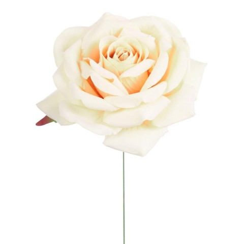 PICK ROSA ELEONORE IVORY D15 H